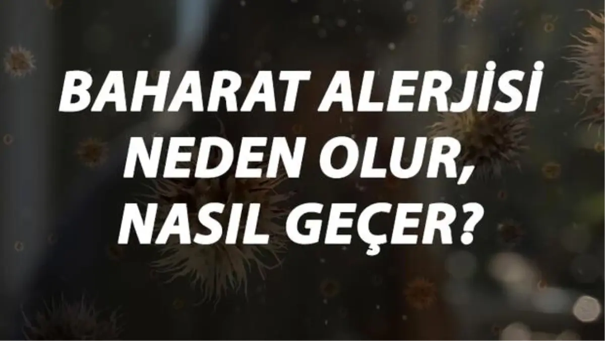 Baharat Alerjisi Nedir, Neden Olur ve Nasıl Geçer? Baharat Alerjisi Belirtileri ve Tedavisi Hakkında Bilgi