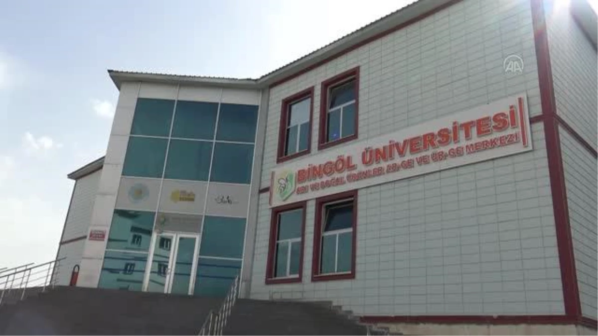 Bingöl Üniversitesi sağlıklı bal için "arı merası" oluşturdu