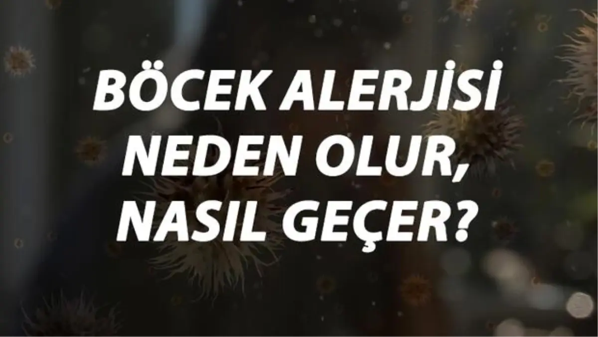 Böcek Alerjisi Nedir, Neden Olur ve Nasıl Geçer? Böcek Alerjisi Belirtileri ve Tedavisi Hakkında Bilgi