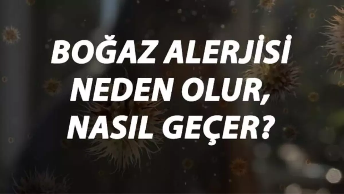 Boğaz Alerjisi Nedir, Neden Olur ve Nasıl Geçer? Boğaz Alerjisi Belirtileri ve Tedavisi Hakkında Bilgi