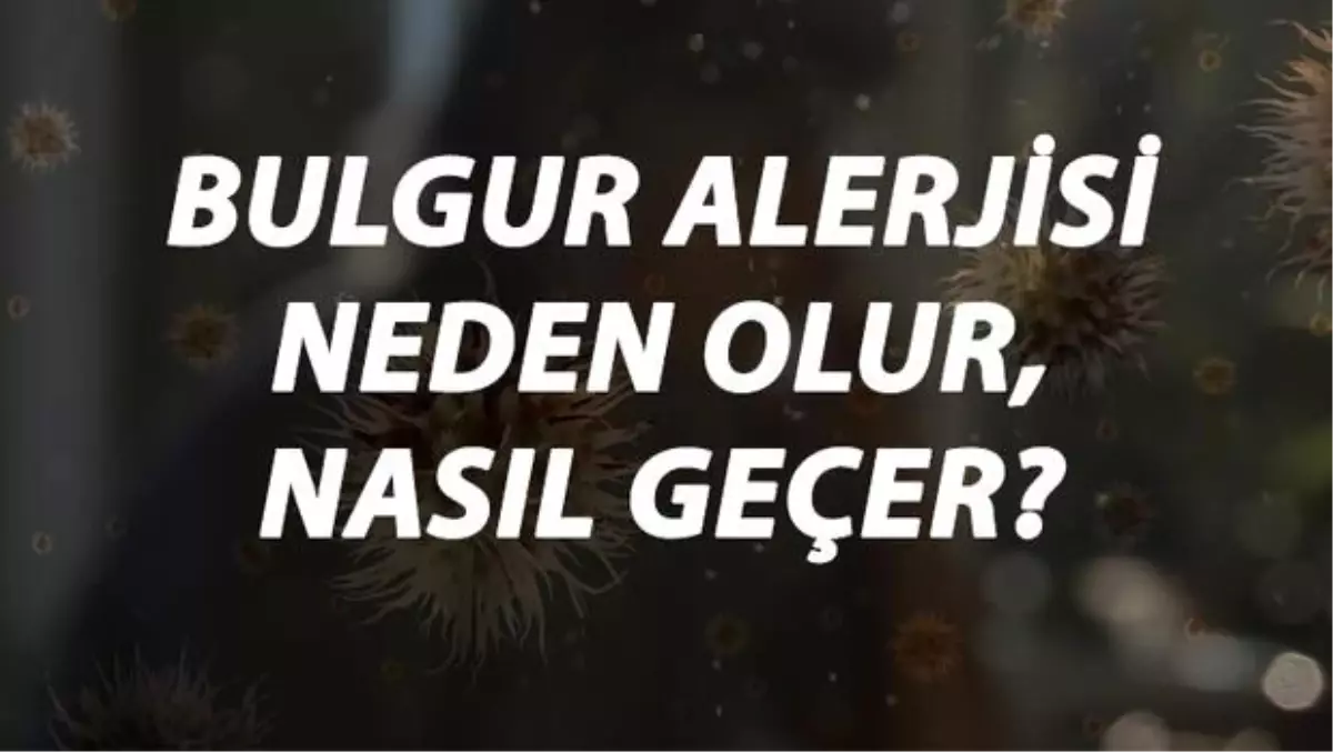 Bulgur Alerjisi Nedir, Neden Olur ve Nasıl Geçer? Bulgur Alerjisi Belirtileri ve Tedavisi Hakkında Bilgi