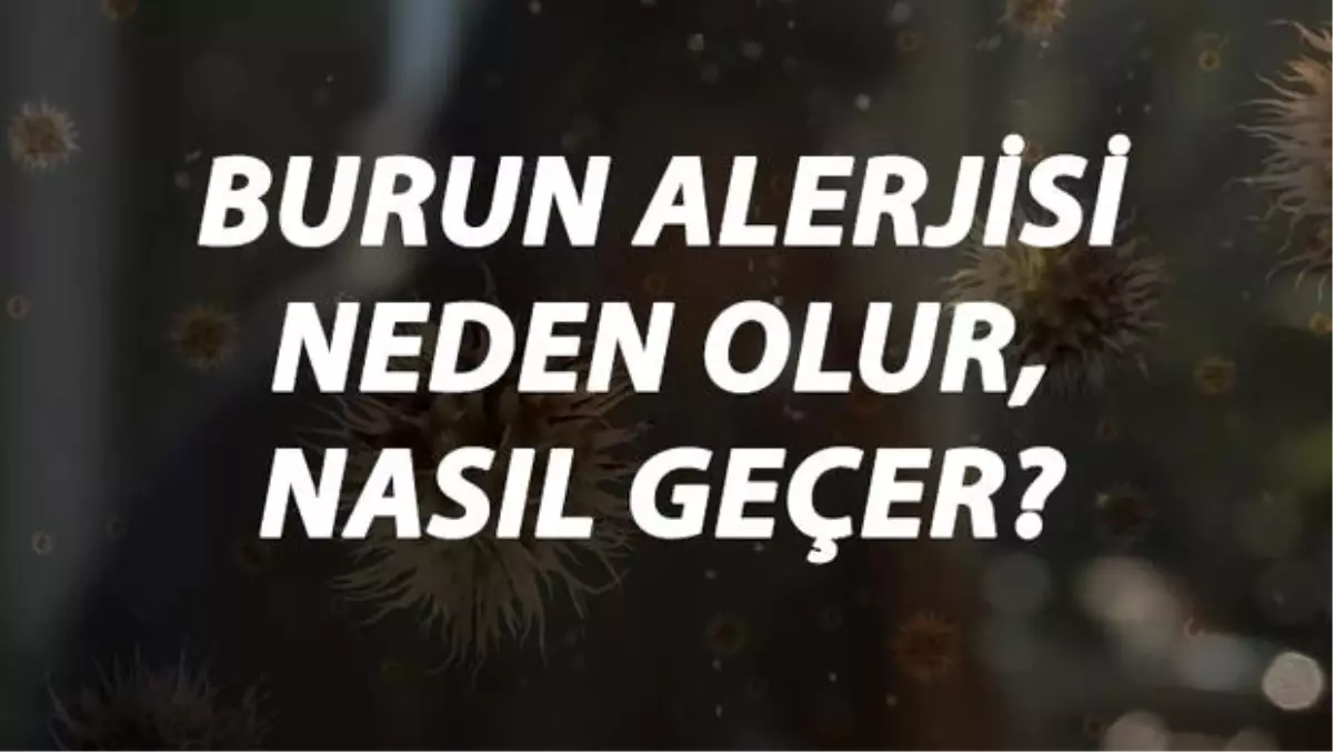 Burun Alerjisi Nedir, Neden Olur ve Nasıl Geçer? Burun Alerjisi Belirtileri ve Tedavisi Hakkında Bilgi