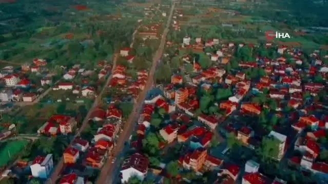 - Çilek köyünde hasat zamanı - Çilek köyünde hasat zamanı