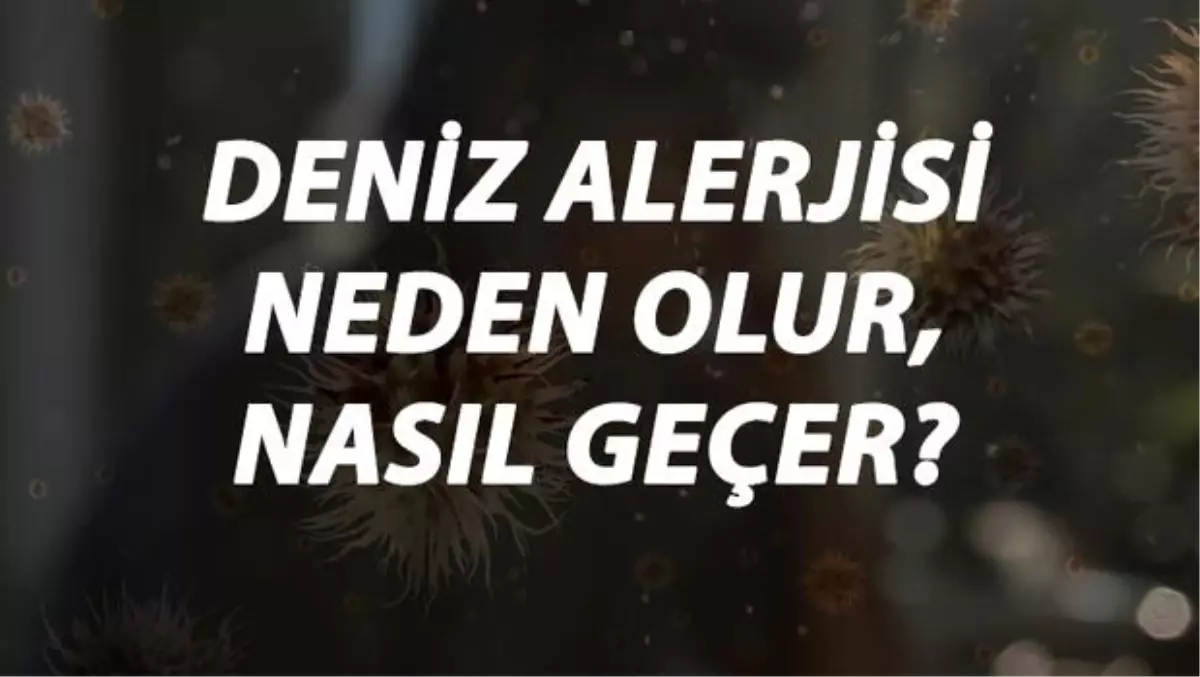 Deniz Alerjisi Nedir, Neden Olur ve Nasıl Geçer? Deniz Suyu Alerjisi Belirtileri ve Tedavisi Hakkında Bilgi