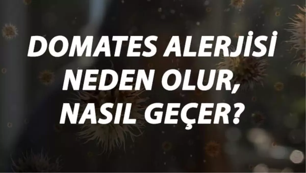 Domates Alerjisi Nedir, Neden Olur ve Nasıl Geçer? Domates Alerjisi Belirtileri ve Tedavisi Hakkında Bilgi