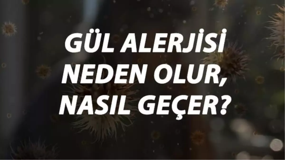 Gül Alerjisi Nedir, Neden Olur ve Nasıl Geçer? Gül Alerjisi Belirtileri ve Tedavisi Hakkında Bilgi