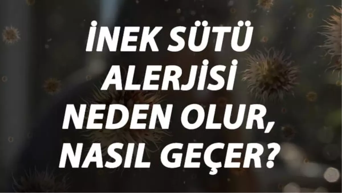 İnek Sütü Alerjisi Nedir, Neden Olur ve Nasıl Geçer? İnek Sütü Alerjisi Belirtileri ve Tedavisi Hakkında Bilgi