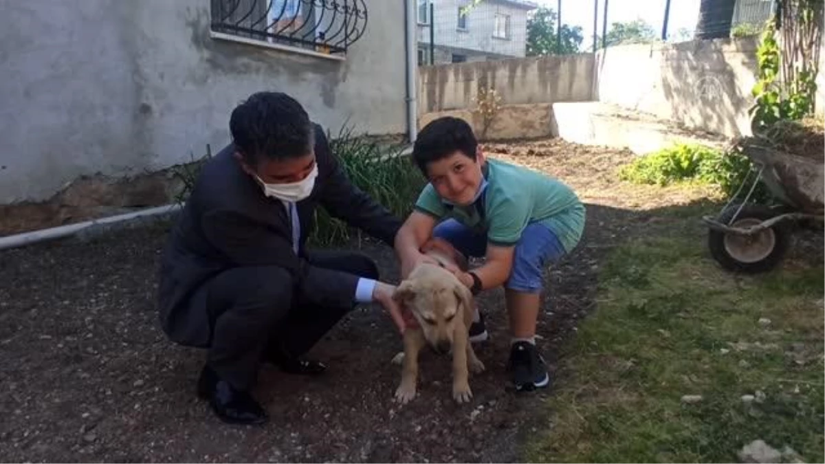 Kandıra Belediye Başkanı Turan\'dan hayvansever çocuğa köpek yavrusu sürprizi
