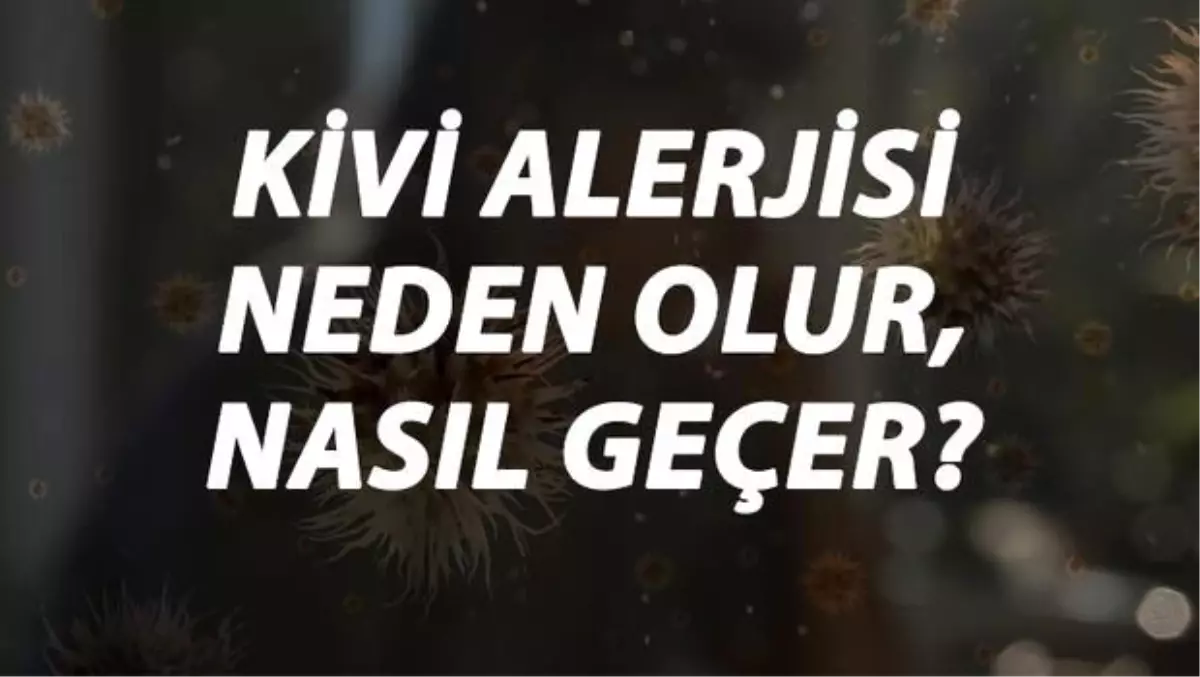 Kivi Alerjisi Nedir, Neden Olur ve Nasıl Geçer? Kivi Alerjisi Belirtileri ve Tedavisi Hakkında Bilgi