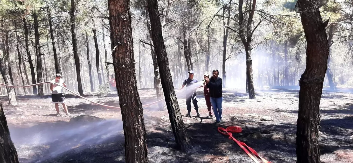 2 hektarlık alanın kül olduğu orman yangını büyümeden söndürüldü