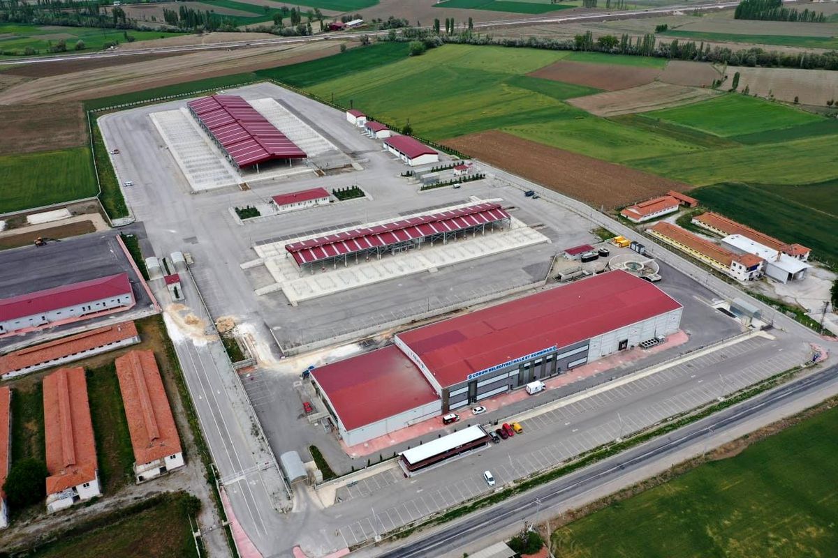 Çorum\'da hayvan pazarı tekrar açılıyor