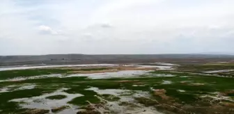 HES kanalındaki duvar çöktü: 300 dönüm tarla sular altında kaldı