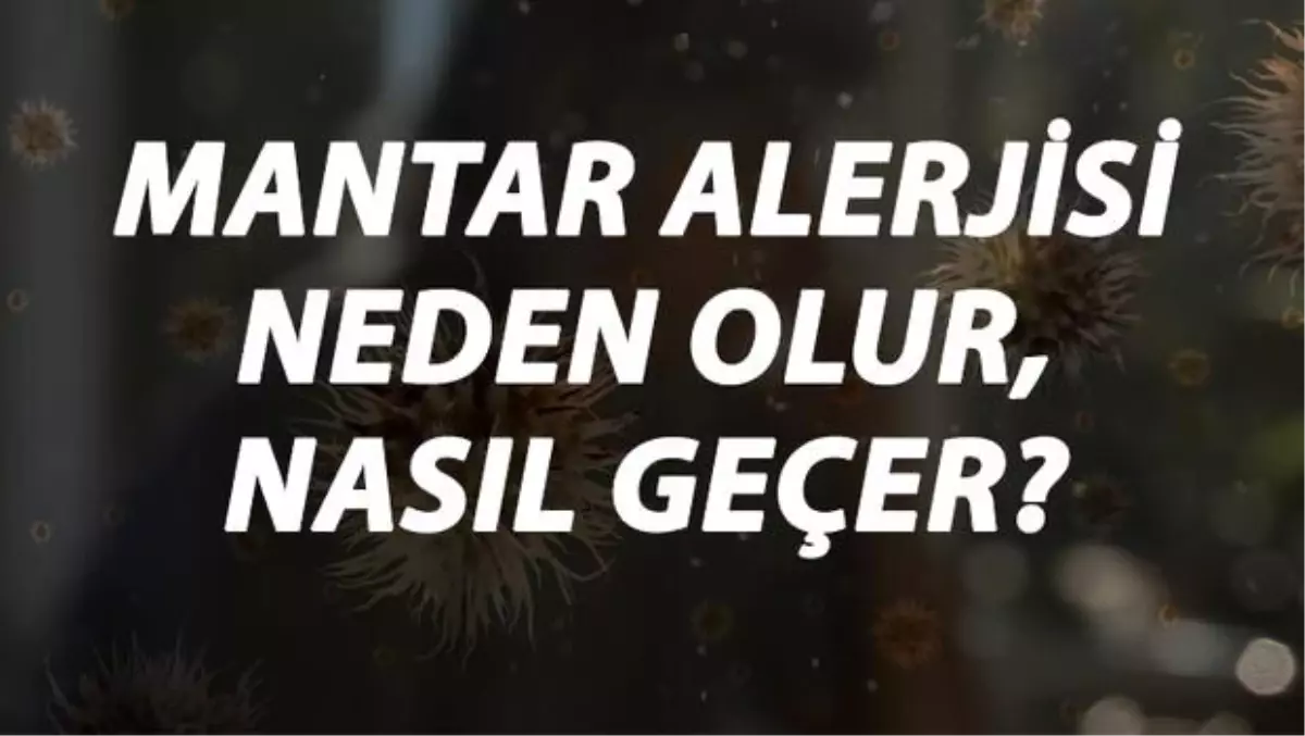 Mantar Alerjisi Nedir, Neden Olur ve Nasıl Geçer? Mantar Alerjisi Belirtileri ve Tedavisi Hakkında Bilgi