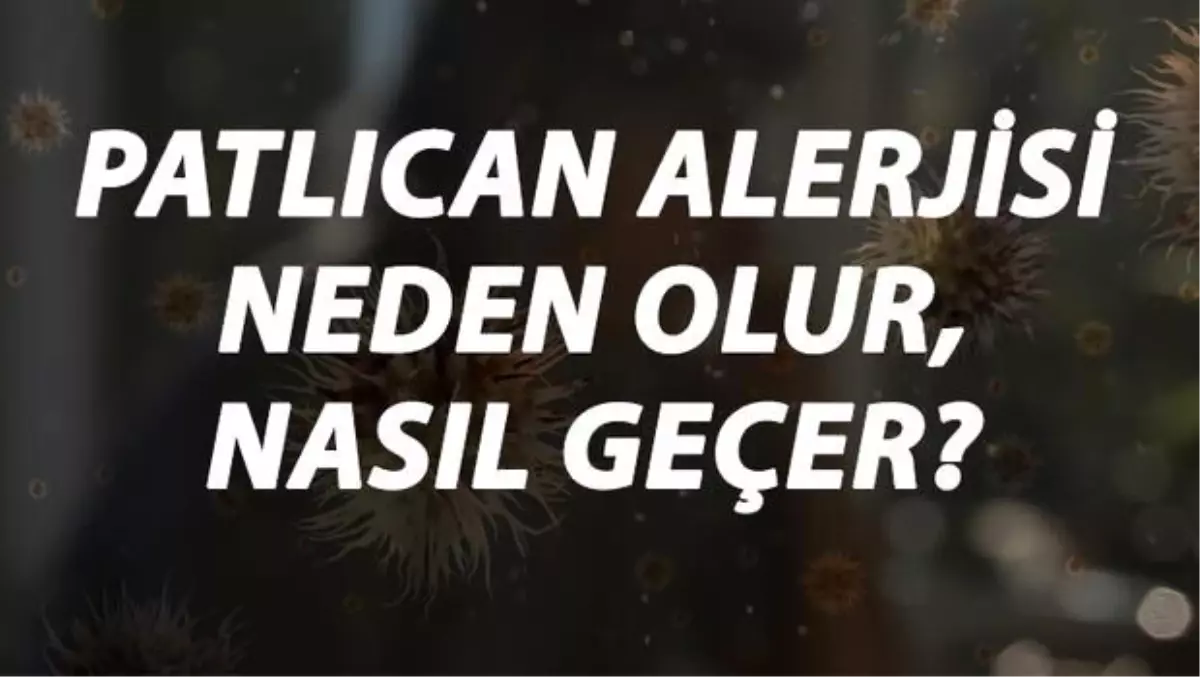 Patlıcan Alerjisi Nedir, Neden Olur ve Nasıl Geçer? Patlıcan Alerjisi Belirtileri ve Tedavisi Hakkında Bilgi