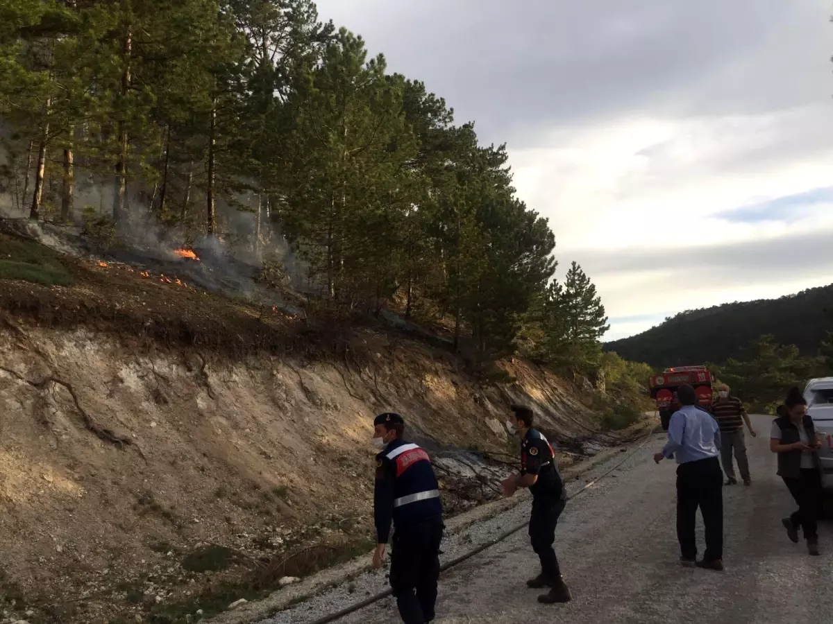 Seyitgazi\'deki orman yangınında 2 dönüm alan zarar gördü