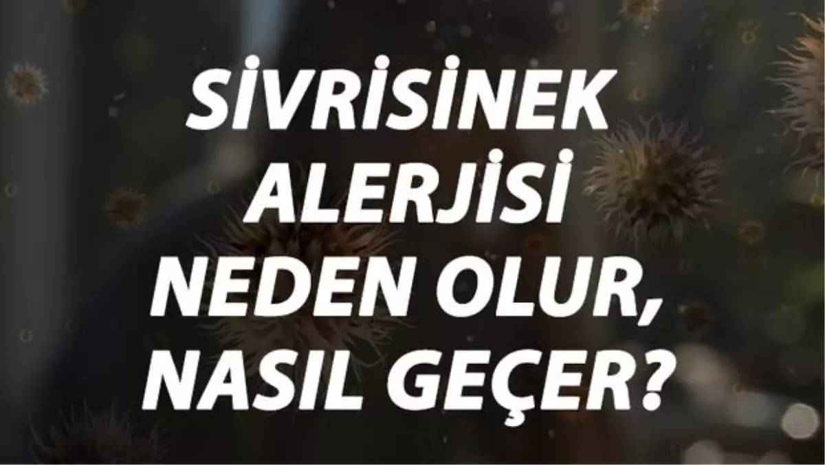Sivrisinek Alerjisi Nedir, Neden Olur ve Nasıl Geçer? Sivrisinek Isırığı Alerjisi Belirtileri ve Tedavisi Hakkında Bilgi