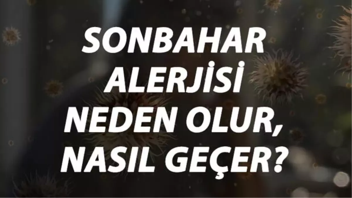 Sonbahar Alerjisi Nedir, Neden Olur ve Nasıl Geçer? Sonbahar Alerjisi Belirtileri ve Tedavisi Hakkında Bilgi