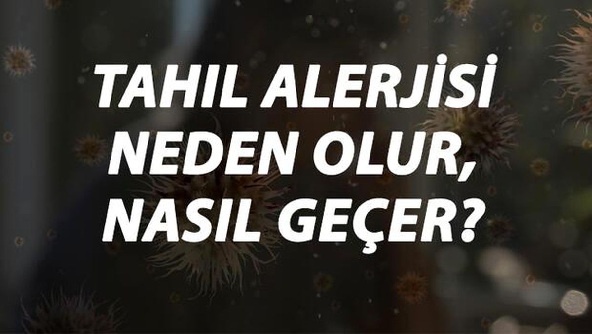 Tahıl Alerjisi Nedir, Neden Olur ve Nasıl Geçer? Tahıl Alerjisi Belirtileri ve Tedavisi Hakkında Bilgi