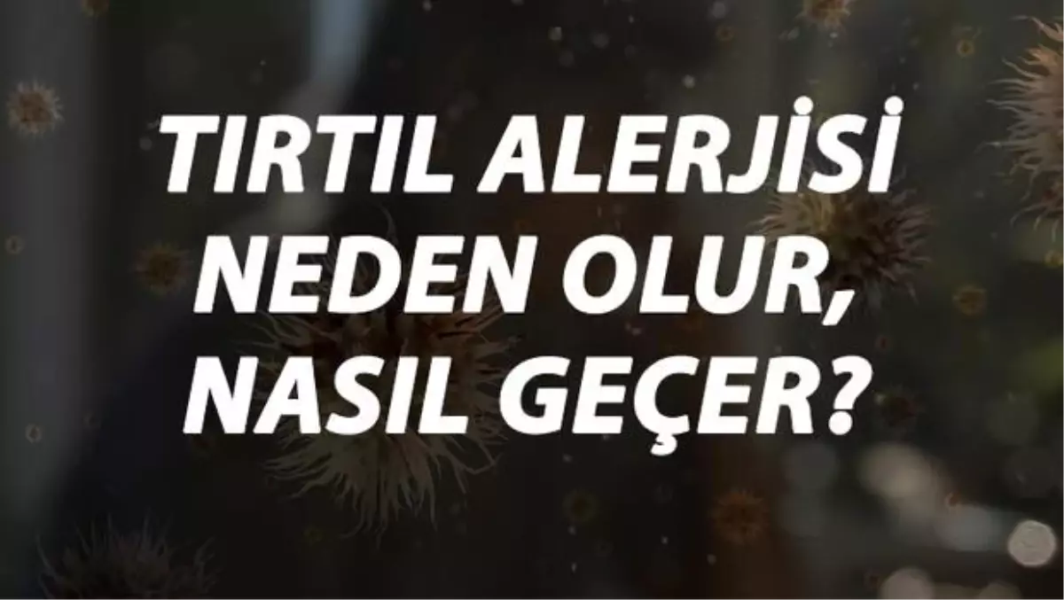 Tırtıl Alerjisi Nedir, Neden Olur ve Nasıl Geçer? Tırtıl Alerjisi Belirtileri ve Tedavisi Hakkında Bilgi