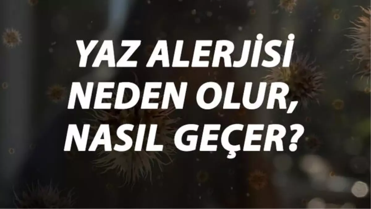 Yaz Alerjisi Nedir, Neden Olur ve Nasıl Geçer? Yaz Alerjisi Belirtileri ve Tedavisi Hakkında Bilgi