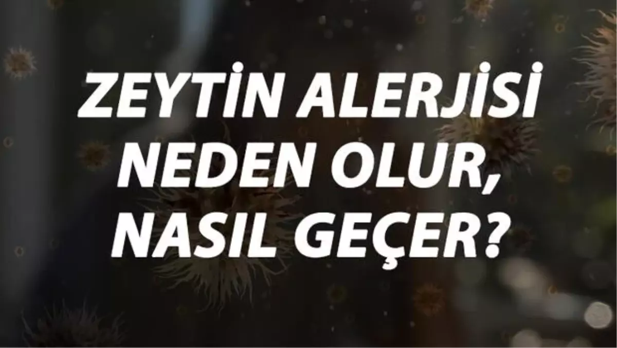 Zeytin Alerjisi Nedir, Neden Olur ve Nasıl Geçer? Zeytin Alerjisi Belirtileri ve Tedavisi Hakkında Bilgi