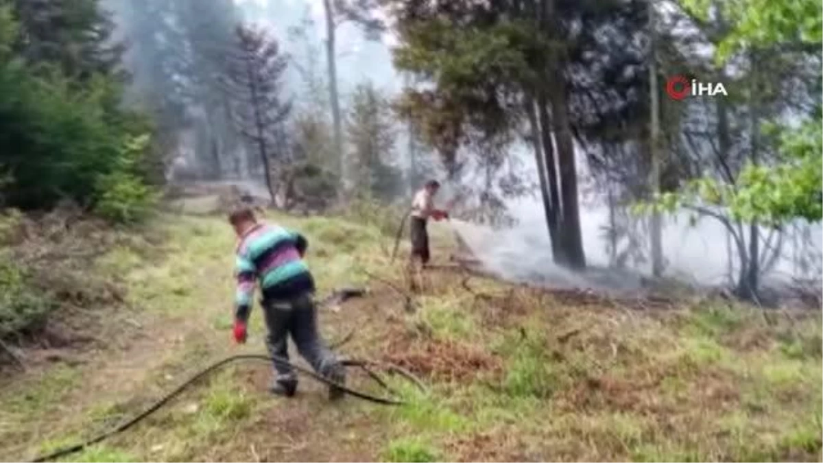 Son dakika haberleri | Artvin\'deki orman yangınında 4 bin çam ve ladin ağacı yandı