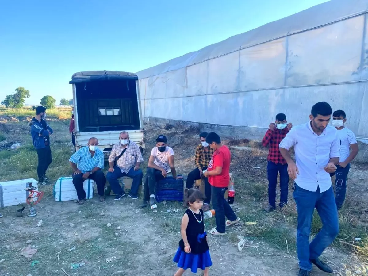 Canlı müzik eşliğinde düğüne jandarma baskını