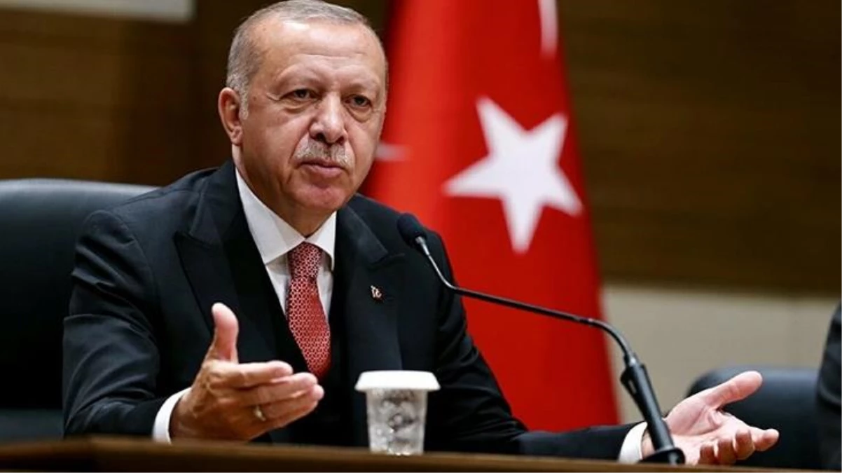 Cumhurbaşkanı Erdoğan, isim vermeden Sedat Peker\'in iddialarına değindi: Suç çeteleri zehirli yılan gibidir
