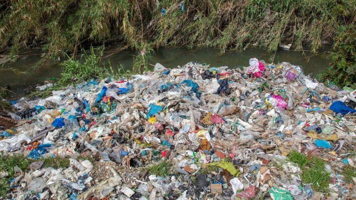 Greenpeace: İngiltere\'deki plastik atıkların yaklaşık yüzde 40\'ı Türkiye\'ye ihraç edildi ve yasa dışı yollarla toplanıp yakıldı