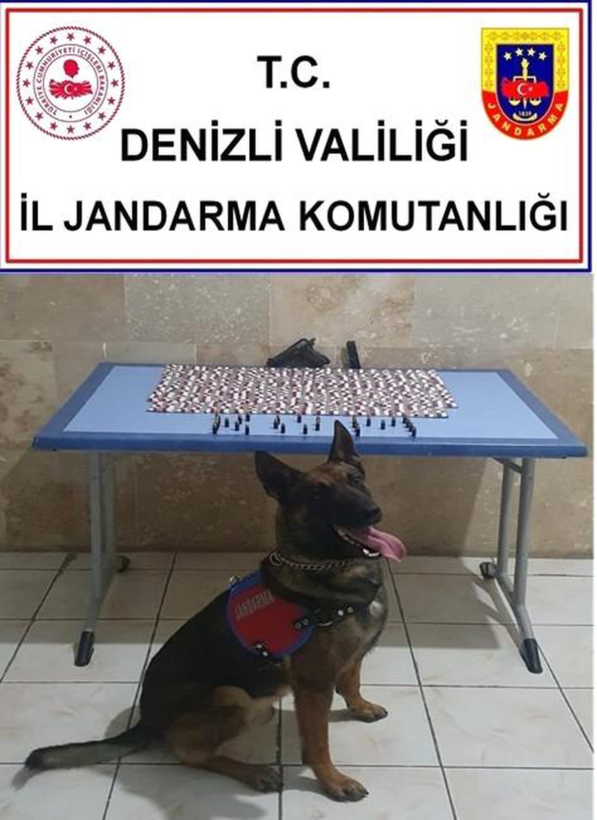 Jandarma yüzlerce uyuşturucu madde yakaladı