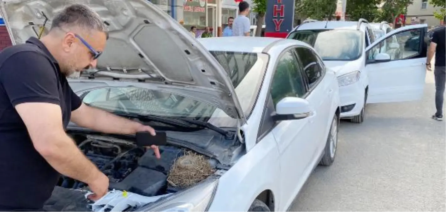 MOTOR KISMINA KUŞUN YUVA YAPTIĞI OTOMOBİL KİRALIKTAN ÇIKARILDI