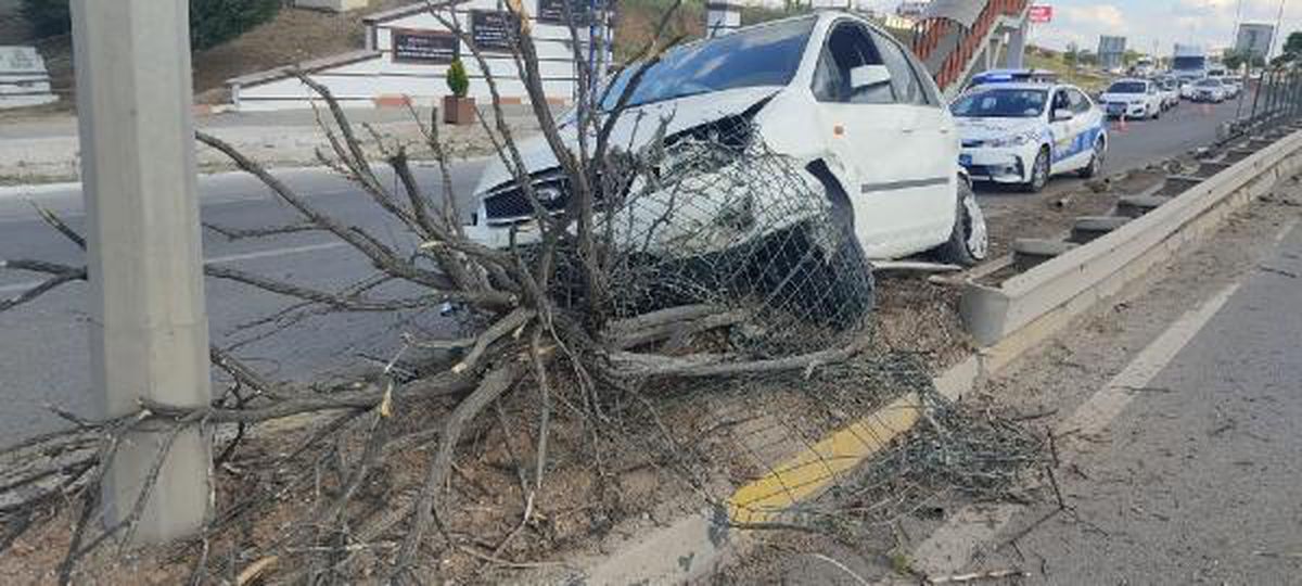 Refüjdeki ağaca çarpan otomobilin alkollü sürücüsü yaralandı