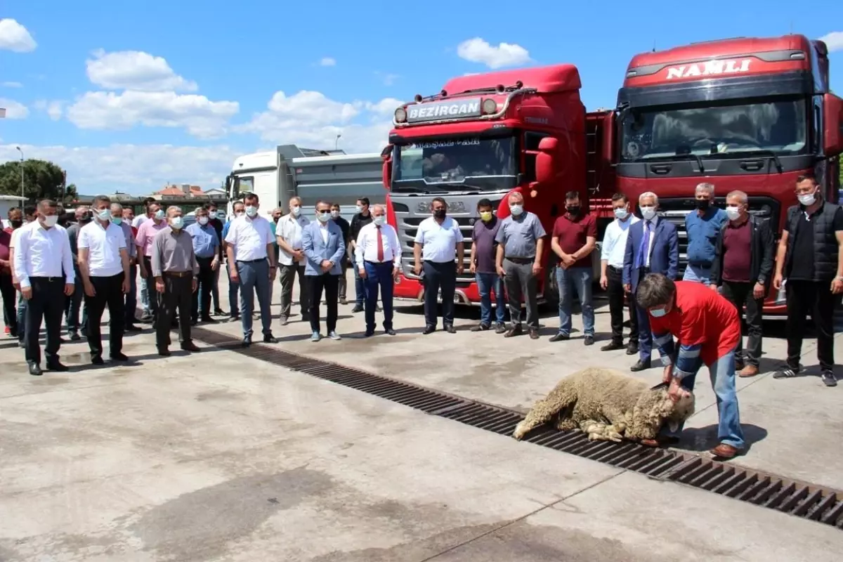 Soma\'dan Yatağan Termik Santrali\'ne günlük 5 bin ton kömür sevkiyatı yapılacak