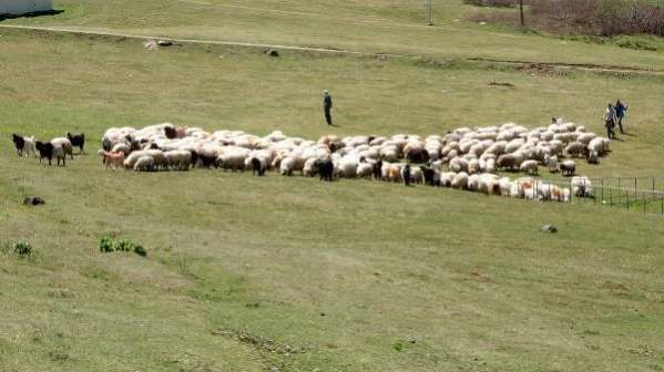 TRABZON'DA 8 YAPAY UZUNGÖL'ÜN İLKİ TAMAMLANDI