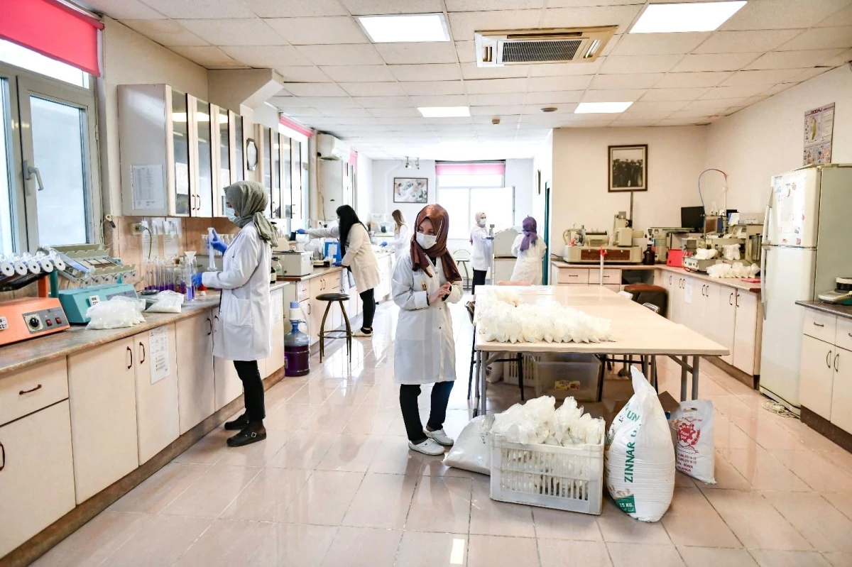 Ankara Büyükşehir Belediyesi Halk Ekmek Fabrikası\'nda ekmek üretimi kadınlara emanet