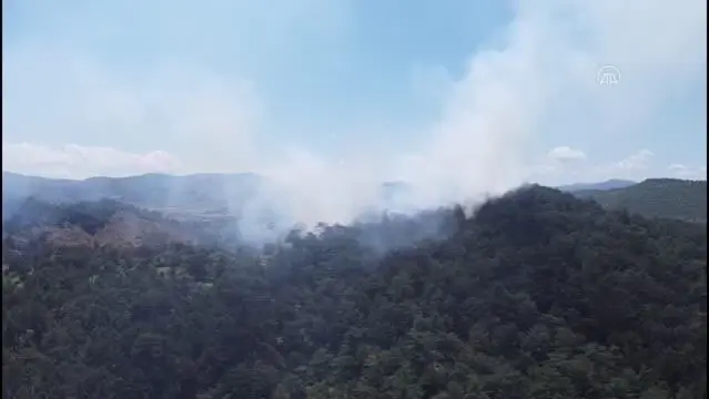 Balikesir De Orman Yangini Cikti Son Dakika