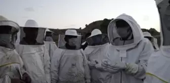 Batman'da arıcılara 600 kovan arı desteği sunuldu