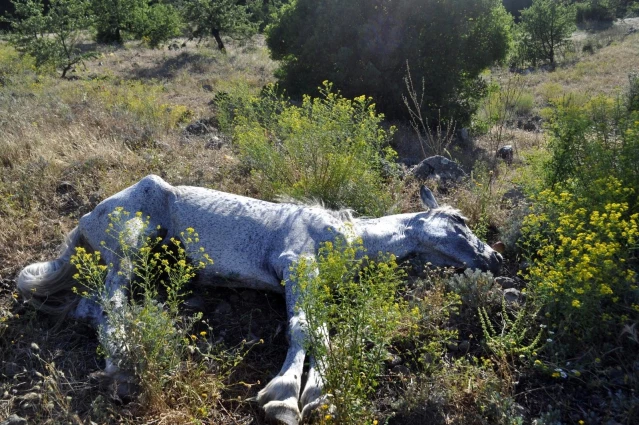 Beş kilometre yürüdüler, film gibi operasyon ile kurtardılar