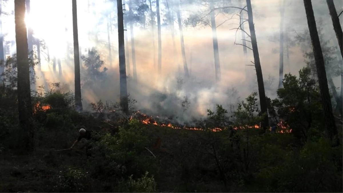 Son dakika haber! Burdur\'da orman yangını vatandaşlar ve ekipler tarafından söndürüldü