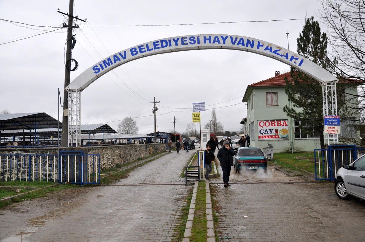 Canlı hayvan pazarı yeniden açıldı