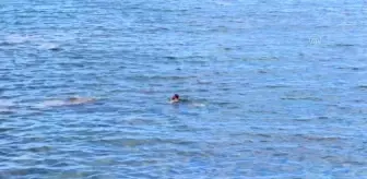 İspanya, Fas'tan gelen 6 bin düzensiz göçmenden 2 bin 700'ünü geri gönderdi (2)