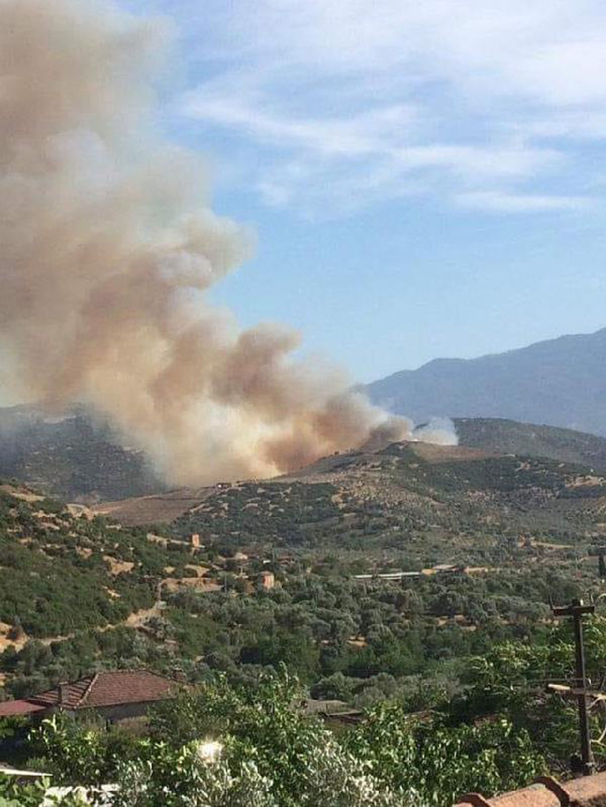 Son dakika haberi: Nazilli\'de çıkan yangında 14 hektar orman ve tarım arazisi zarar gördü