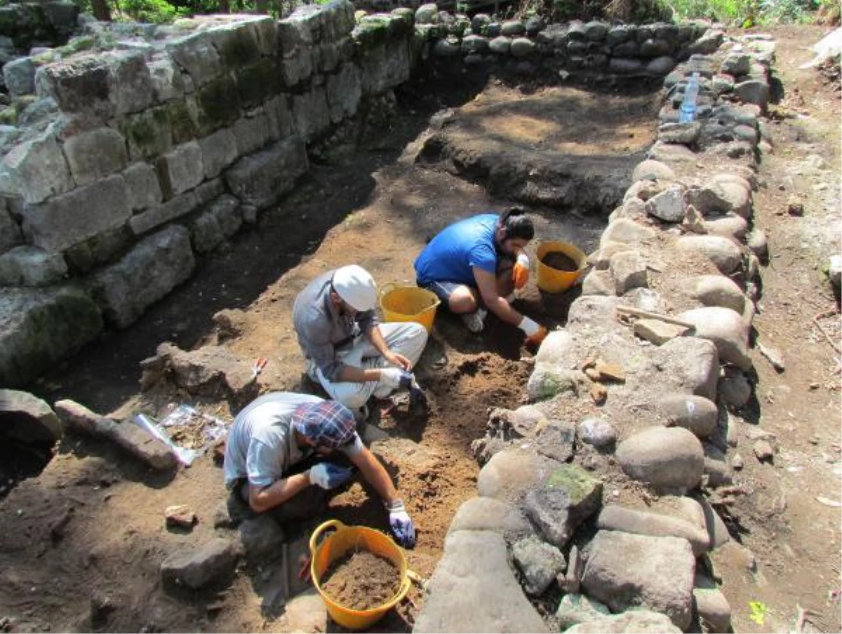 UNESCO başvurusu yapılan Giresun Adası\'nda, kazılar yeniden başlıyor