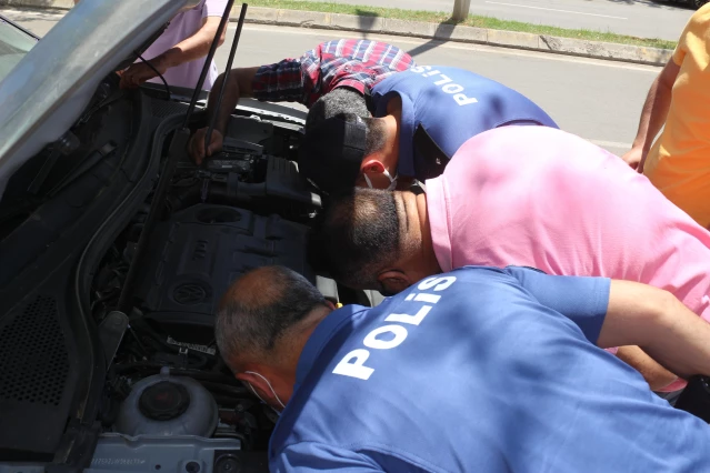Adana'da otomobilin motor kısmına sıkışan kedi yavruları kurtarıldı