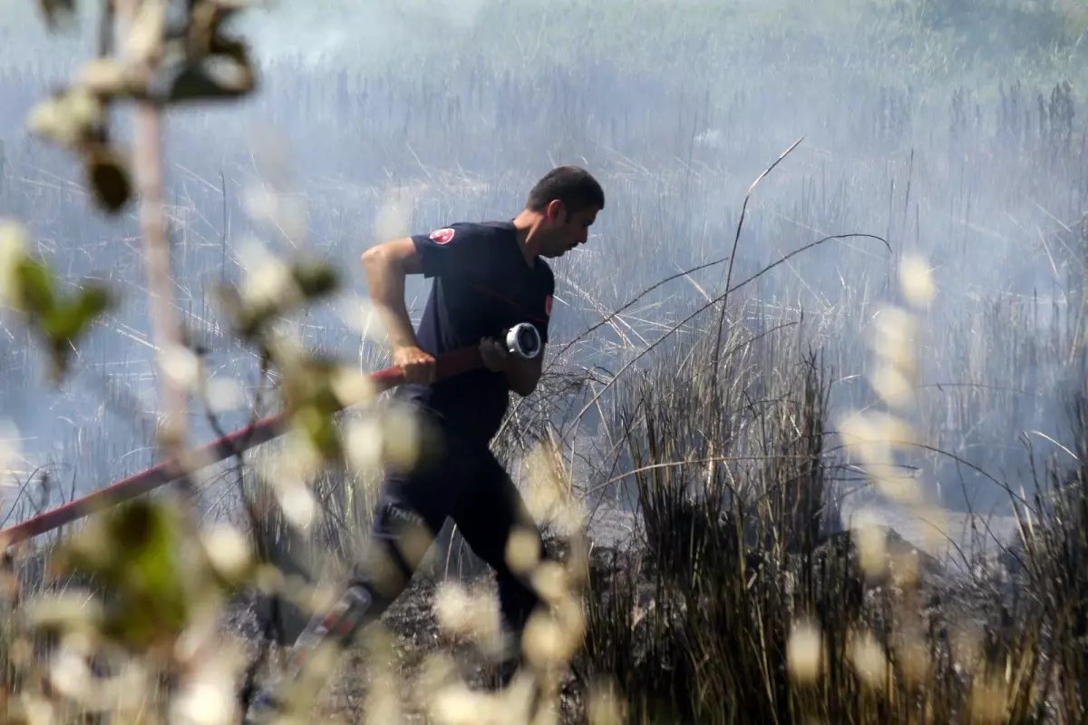 Son dakika haberi... Antalya\'da yangın sazlık alanı küle çevirdi