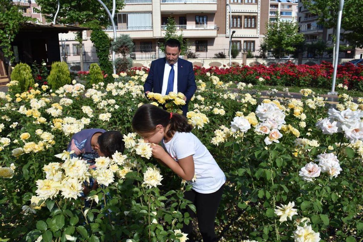 Bağlar ilçesindesi gül bahçesine vatandaşlar ilgi gösteriyor