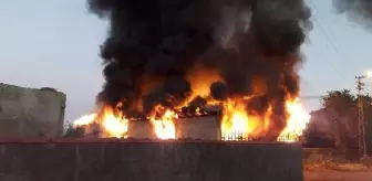 Son dakika... Bursa'da zeytinyağı fabrikasında çıkan yangın korkuttu