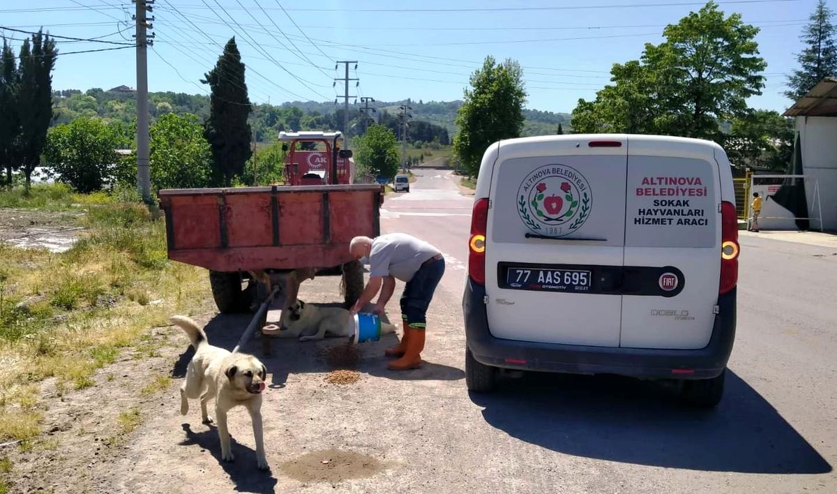 "Can dostlarımız emin ellerde"