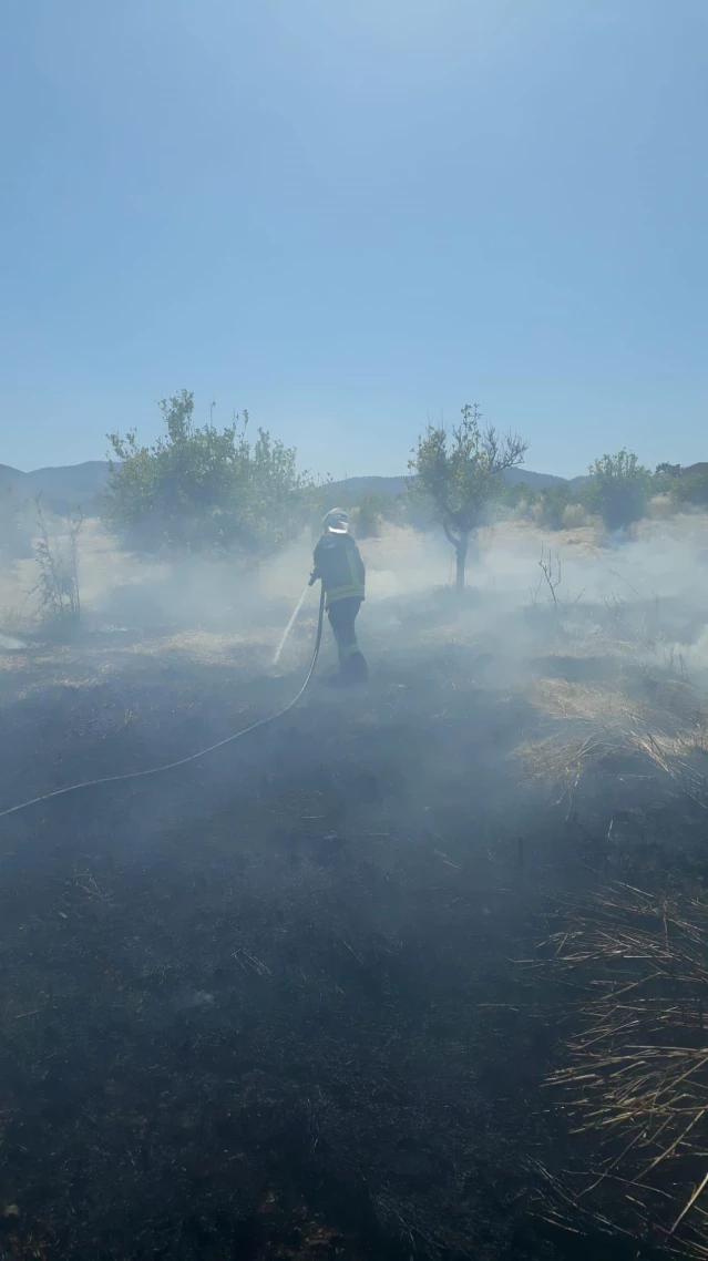 Fethiye'de çıkan yangında limon ağaçları zarar gördü