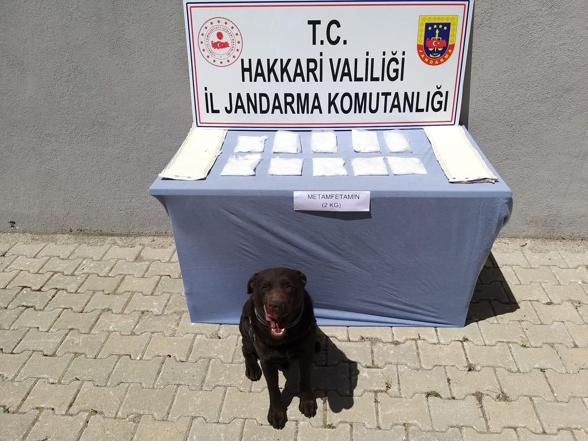 Hakkari\'de, minibüsteki bir yolcunun vücuduna sarılı 2 kilogram sentetik uyuşturucu ele geçirildi